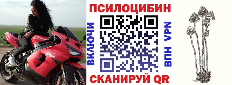 Галлюциногенные грибы GOLDEN TEACHER  Заволжск 